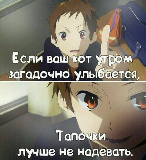 eaceab88cf5e6deb83abe8b3ae09e8e4.jpg