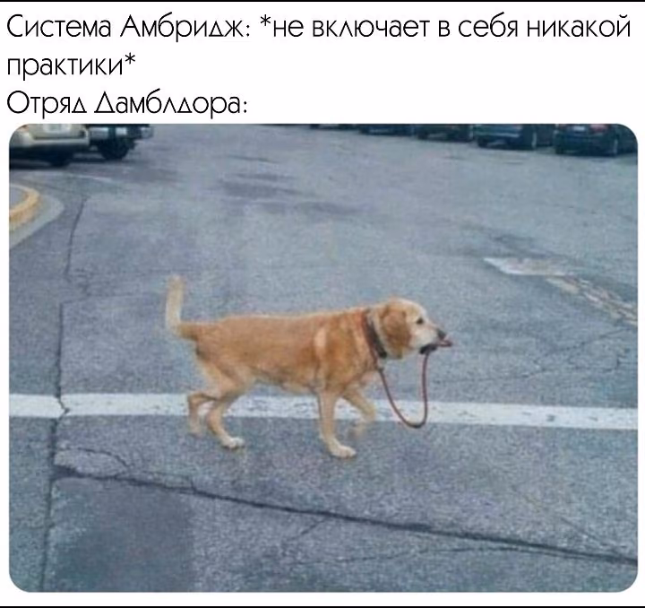 ead3919a032ad0820988d0e9482a07e7.avif