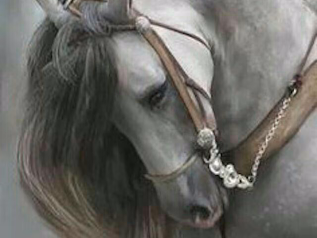 ead7ab86965dbd7ff22c8bf6976aa905.avif