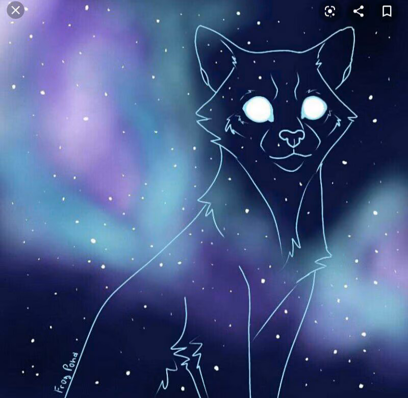 ead94368d84cca2e56d4ecb13f285bff.avif