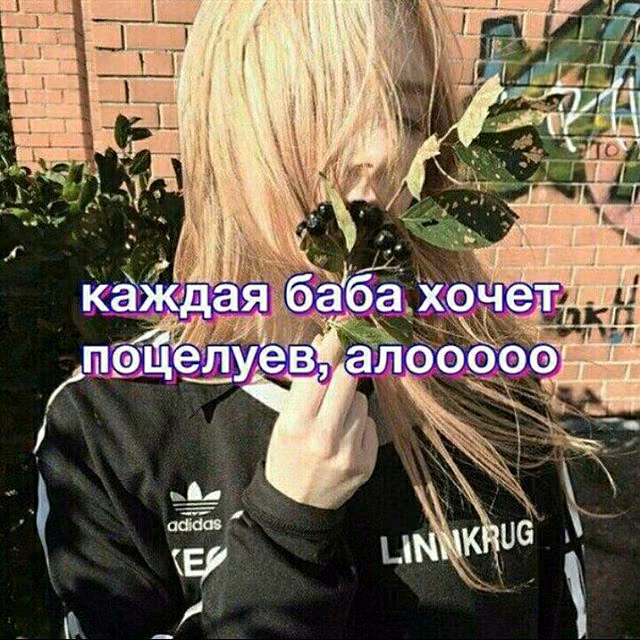 eadf12adbd018b456f53efd1dda6ac7b.avif