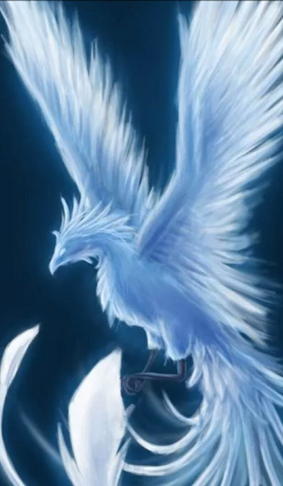 eb102fb68ae40ae3fe54820e5aa267af.avif
