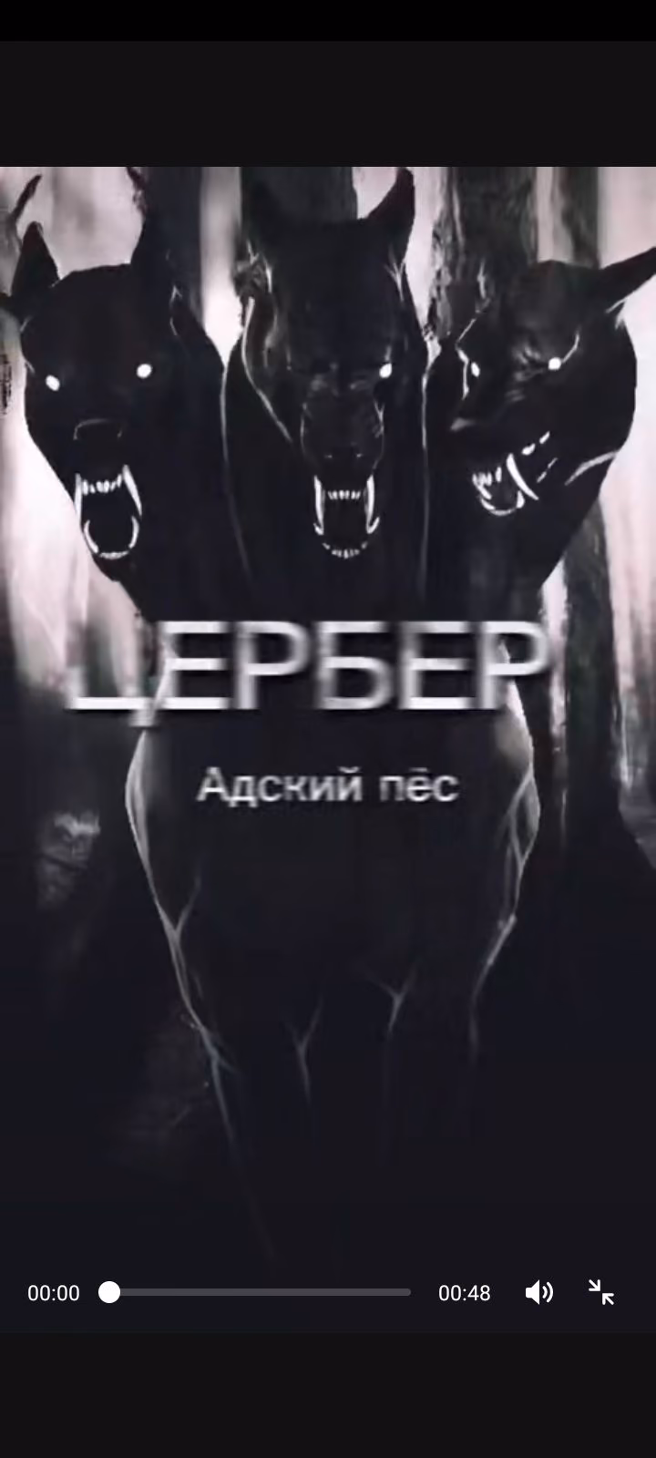 eb2f075d131bc76248d8c85ebc83a787.avif