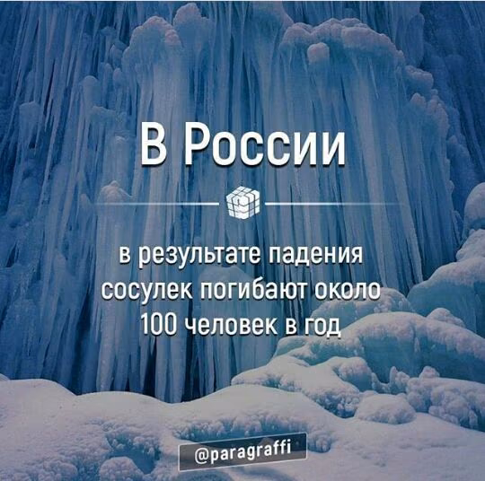 eb2f1f2f8e26050d002cf4e0df9c6ad0.jpg