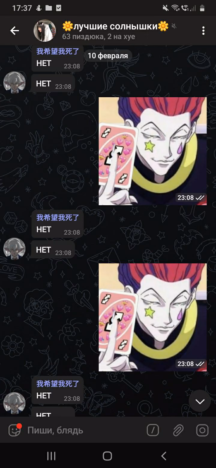eb30e86ae9ff05ea5e566b0928daeff6.avif