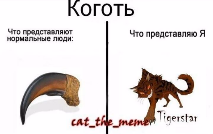 eb34c101d551da5a899e46956699743b.jpg