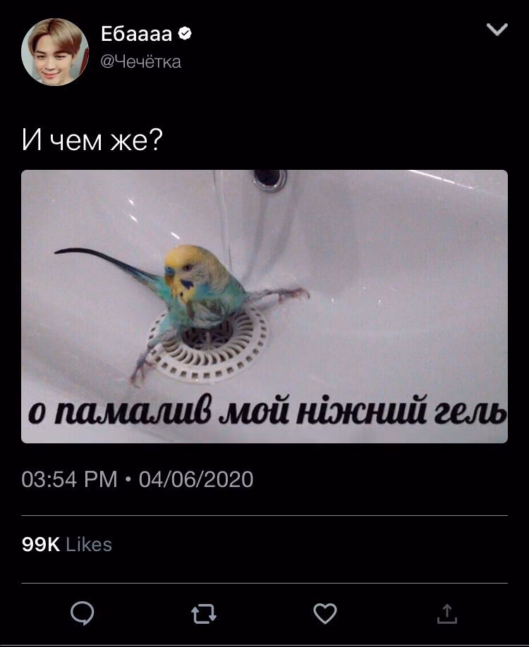 eb583356720ac2ef836176612f3bd857.avif