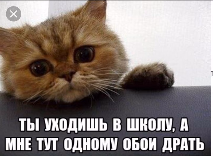 eb58824732cba4f45b85962ed987b8bc.avif