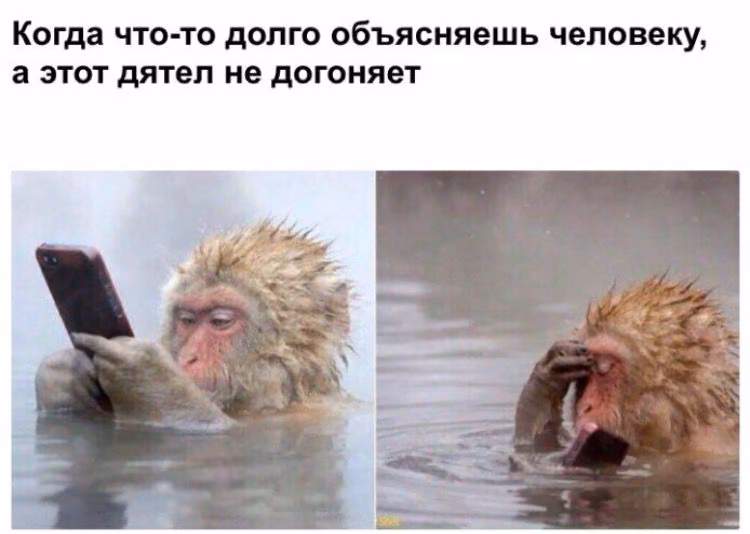 eb681a7a2b7bbdf2bcb0a4befe76b1ea.jpg