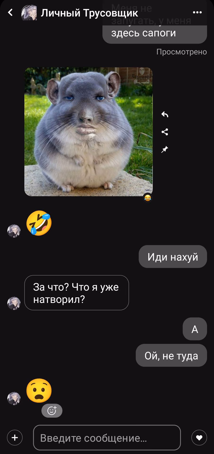 eb6919464a2f98bd00b591a1eeea63f9.avif