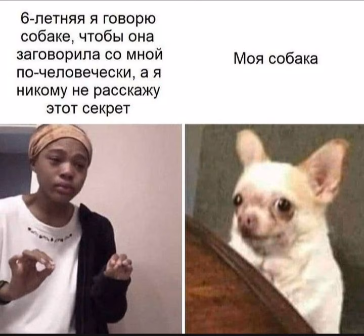 eb7cce355e5ce0caef0a7c0cf4e5b4f8.avif