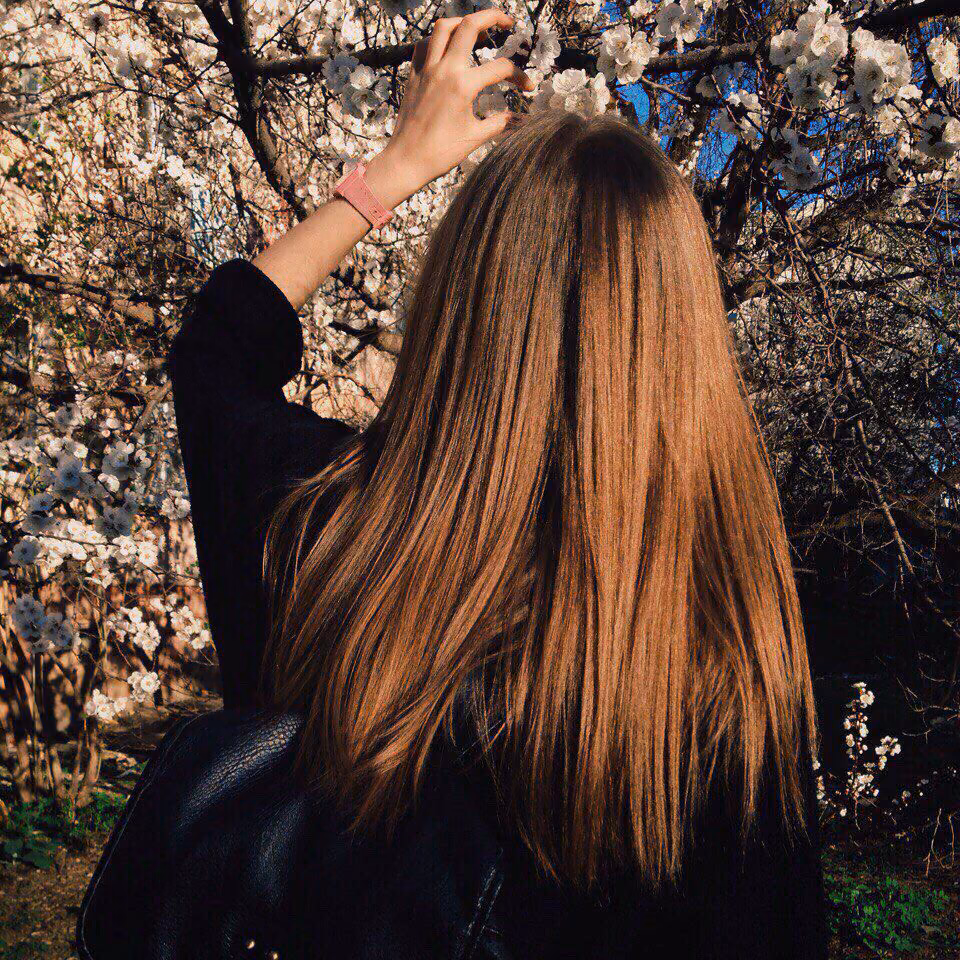 ebb15f043d6640cbb2ec944541d70d15.jpg