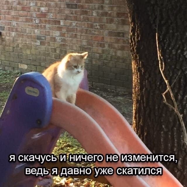 ebb5b31fc59fd76334adea42c1ae7976.jpg