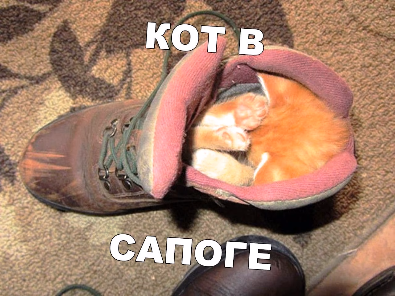 ebc2c7fbdf638d969c0c02130e6f90be.jpg