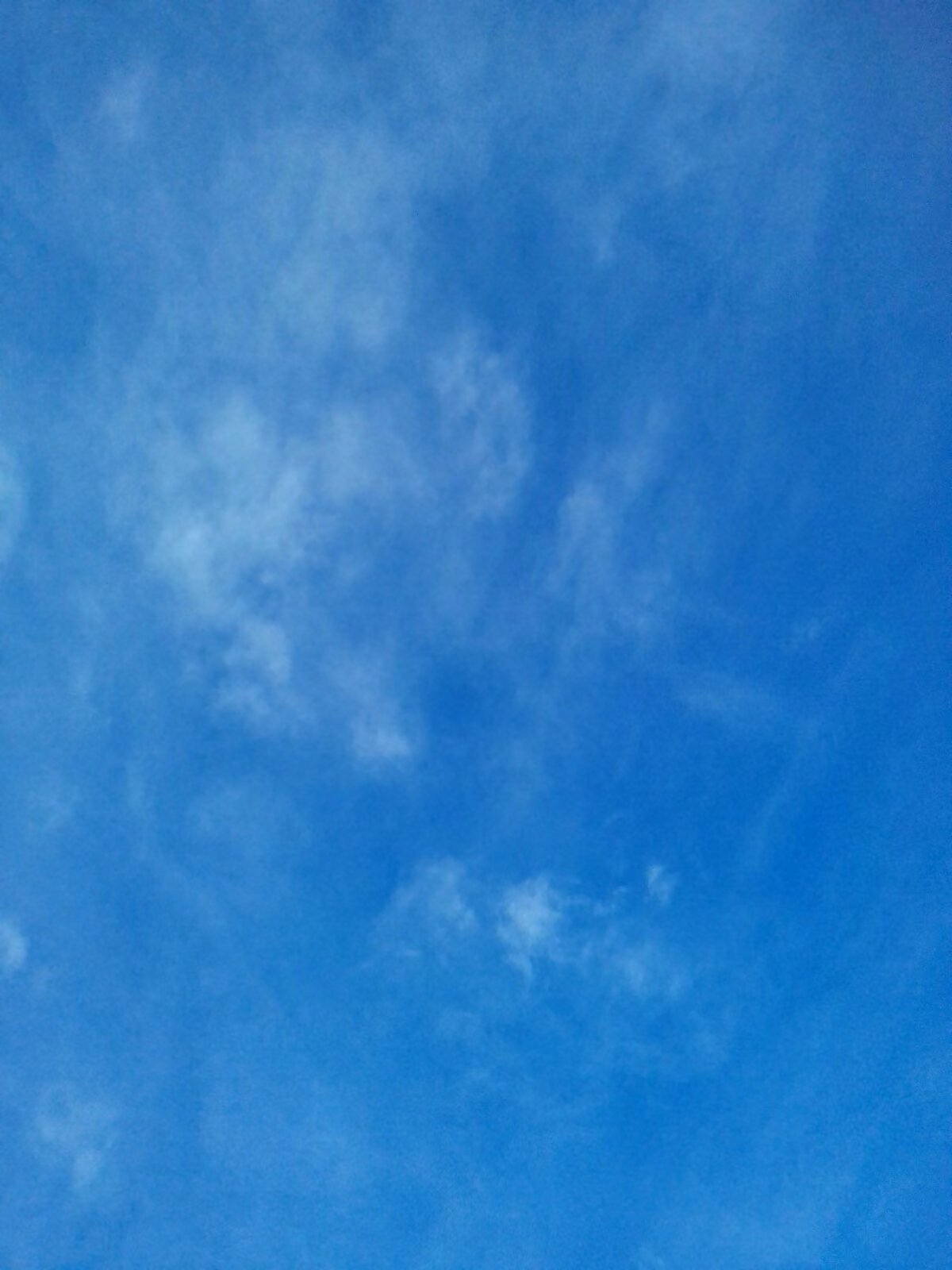 ebdc7f0ccd1153622be55b05c7f1979c.jpg