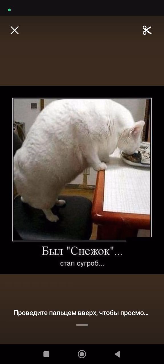 ebeb122a4e530f91351c44ae5eead7e8.avif