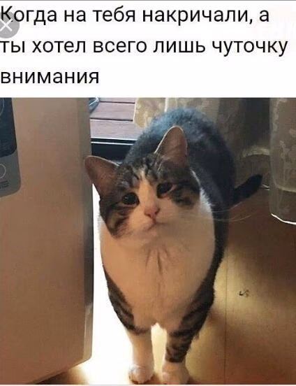 ebf4c814d265c4603c35ece2c034642f.avif
