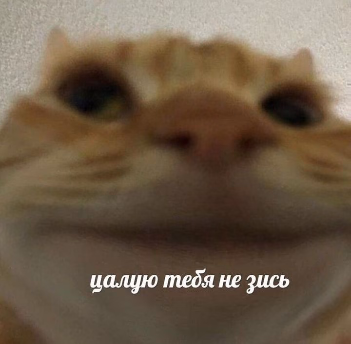 ec0248cad9f99ec0b632ff0ac744e74f.avif