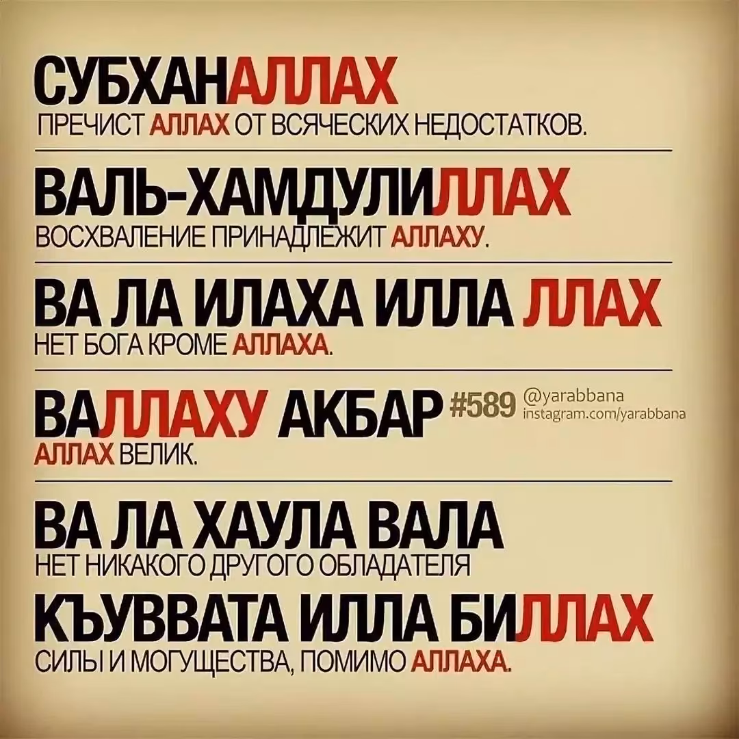 ec042c007f02e9ec84dba12929a6fd98.avif