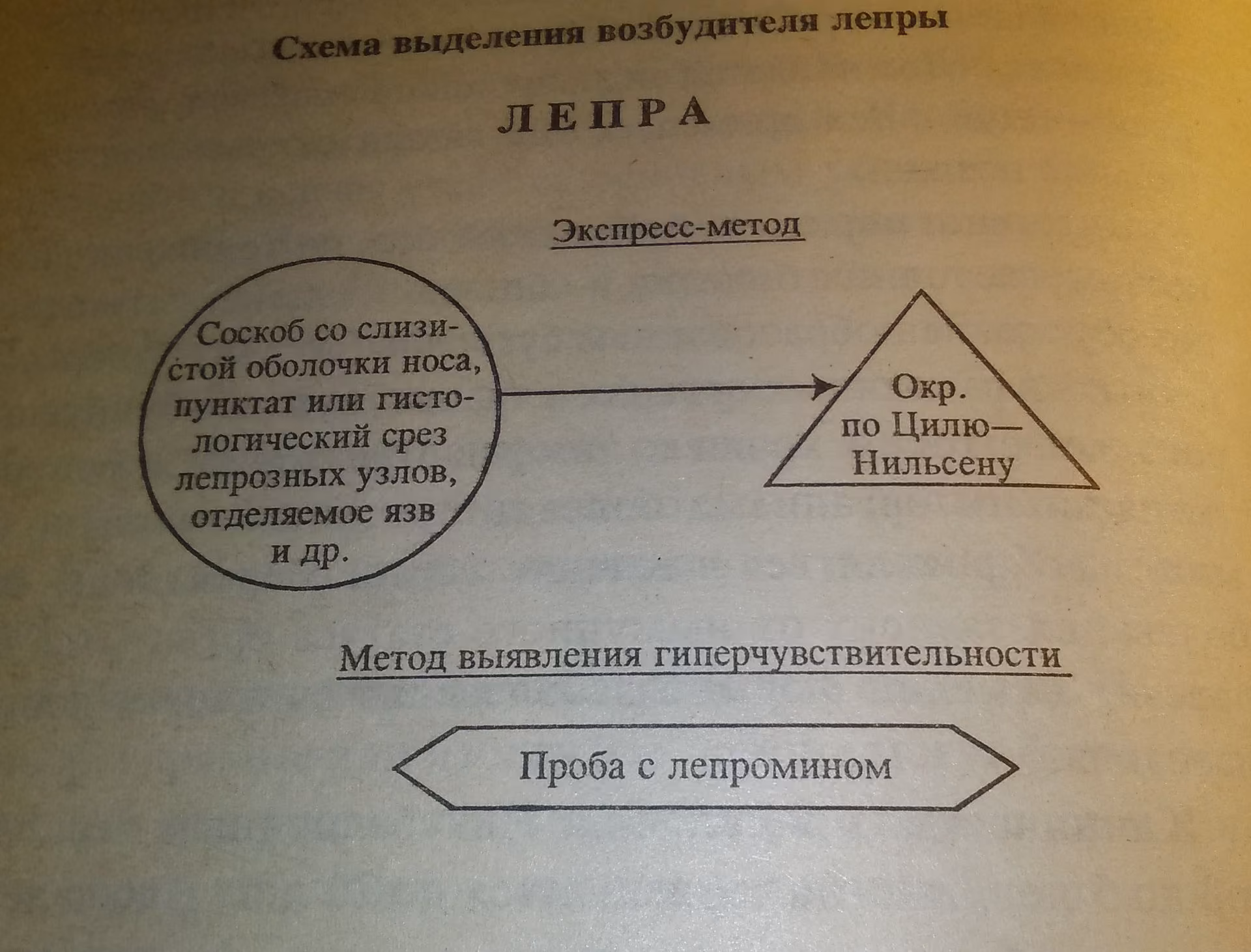ec04c95e96077b6376a1c109fb8c4220.avif