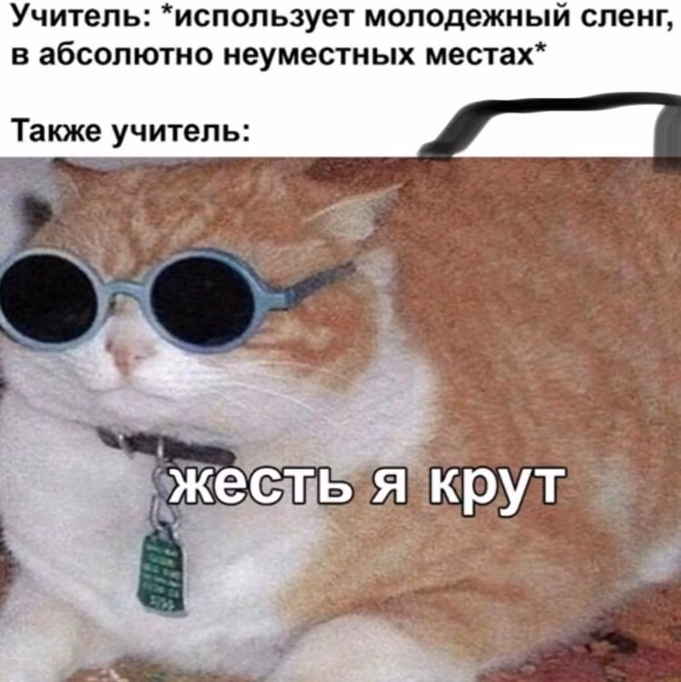 ec04dea97ac83eba94a17ddc06c880d5.jpg