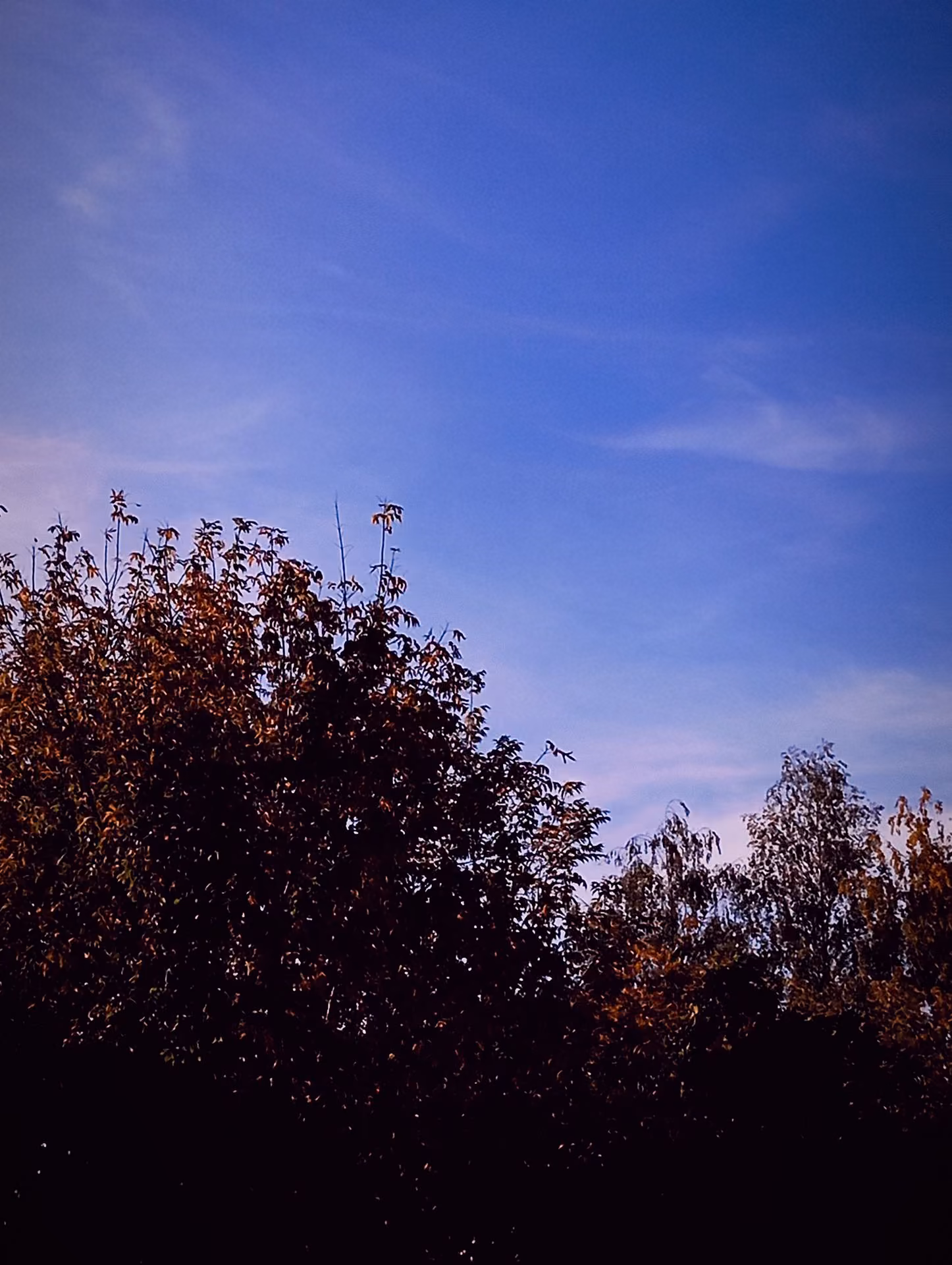 ec12a18b884b8dd9dd202b1eb763900b.avif