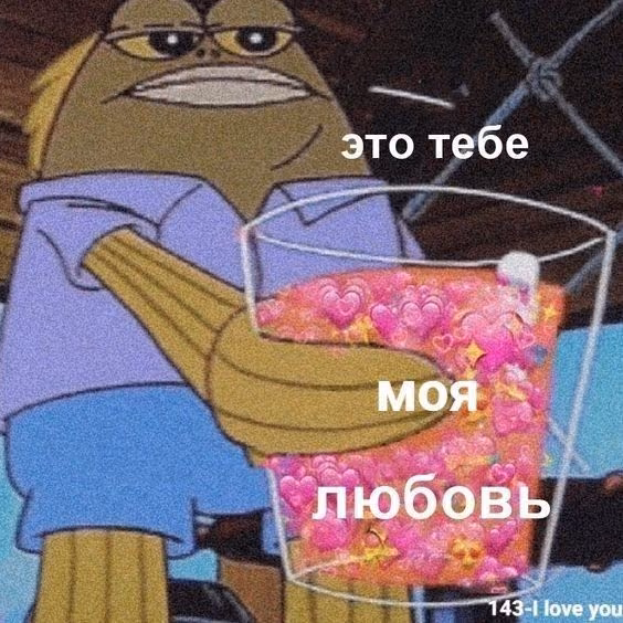ec14ba670fbab406604bba8f43e92801.avif
