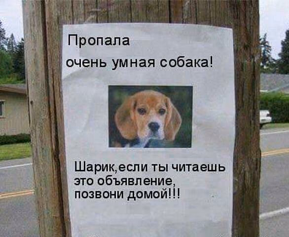 ec14fa7d4507c208f9a327f9abcc4f30.avif