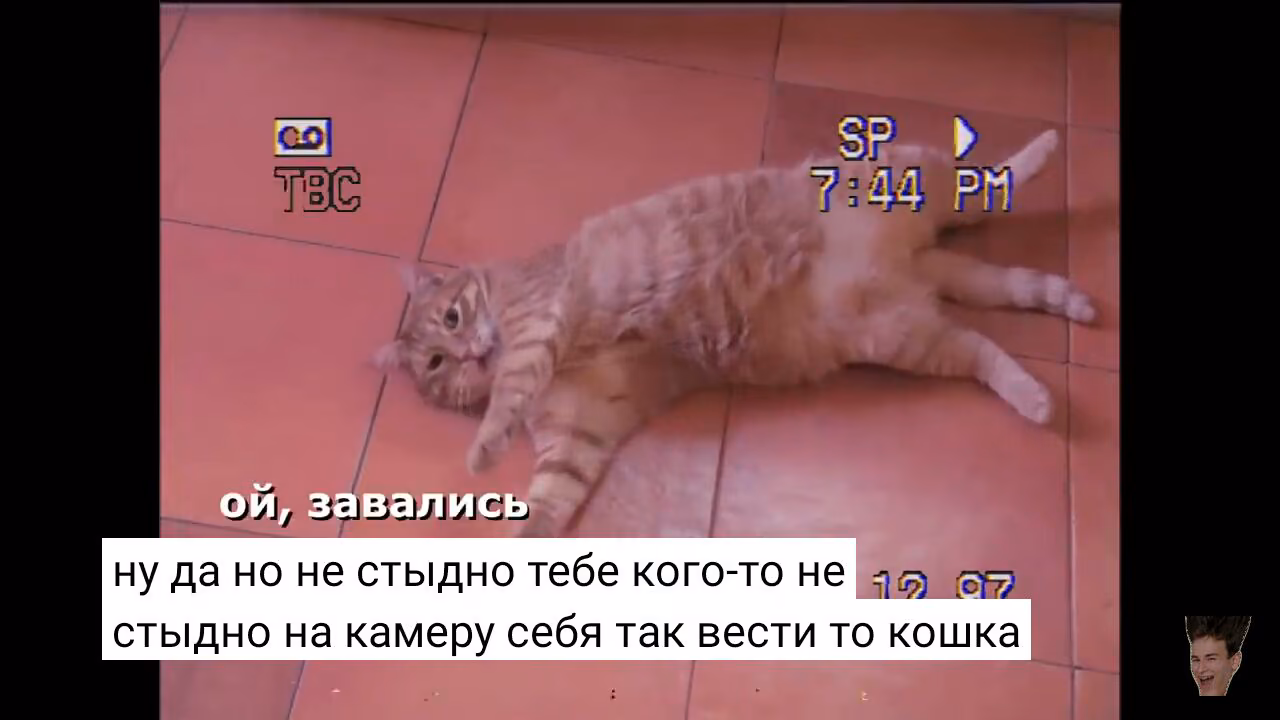 ec2c6db1a39138e4f7b5d5f0fe591385.jpg