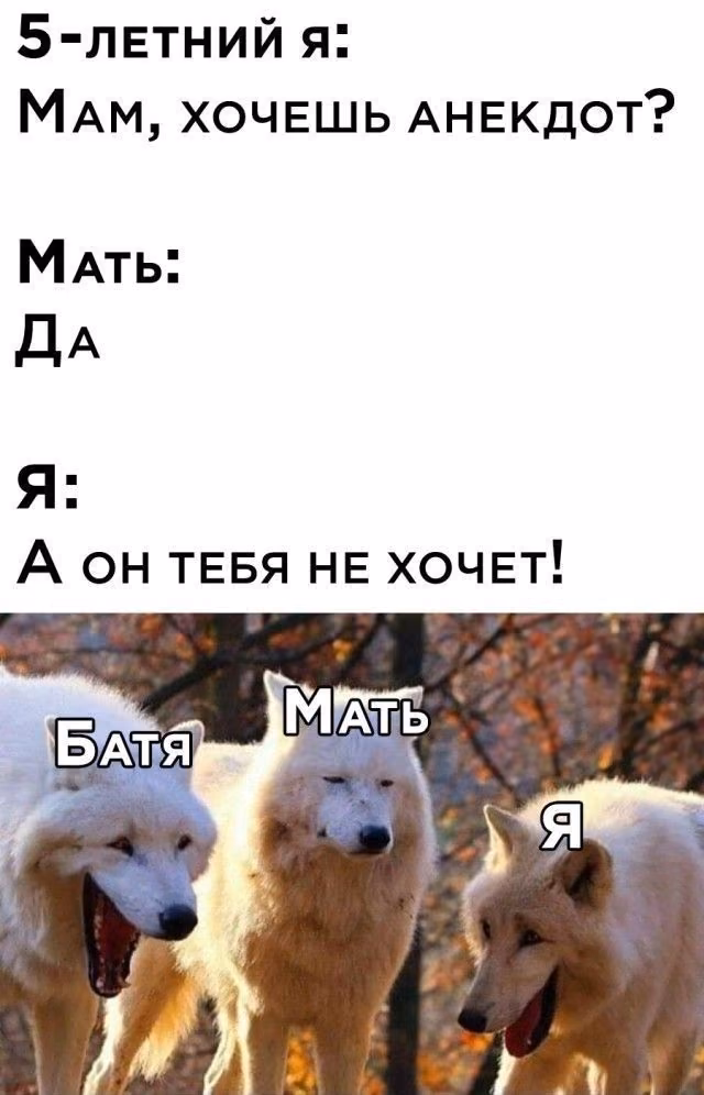 ec3476f60a0bea360b6b728a8c1c43e9.avif
