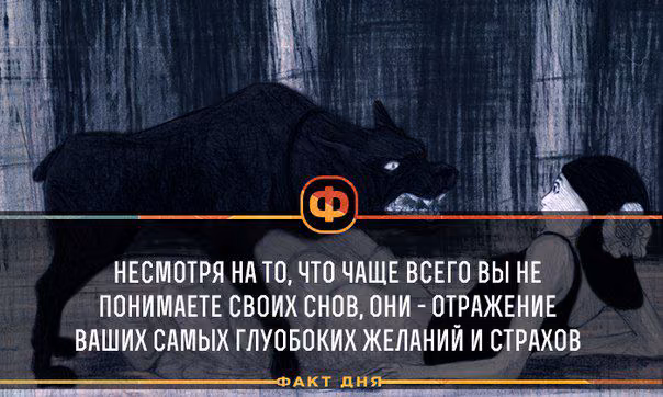 ec56e61b00edb6419e5c4c1ab68e7fc5.avif