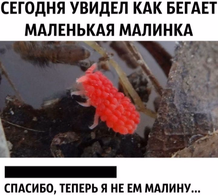 ec62d387b55b1c3420fd04ad45b0e7f7.avif