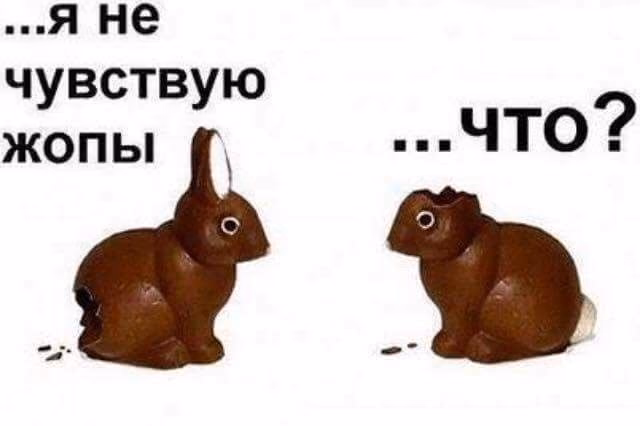 ec7652bd52994d0b91c261068f816f41.jpg