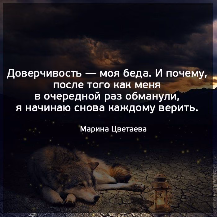 ec77d569cf740c3bdd6ece2bcb0cc528.jpg