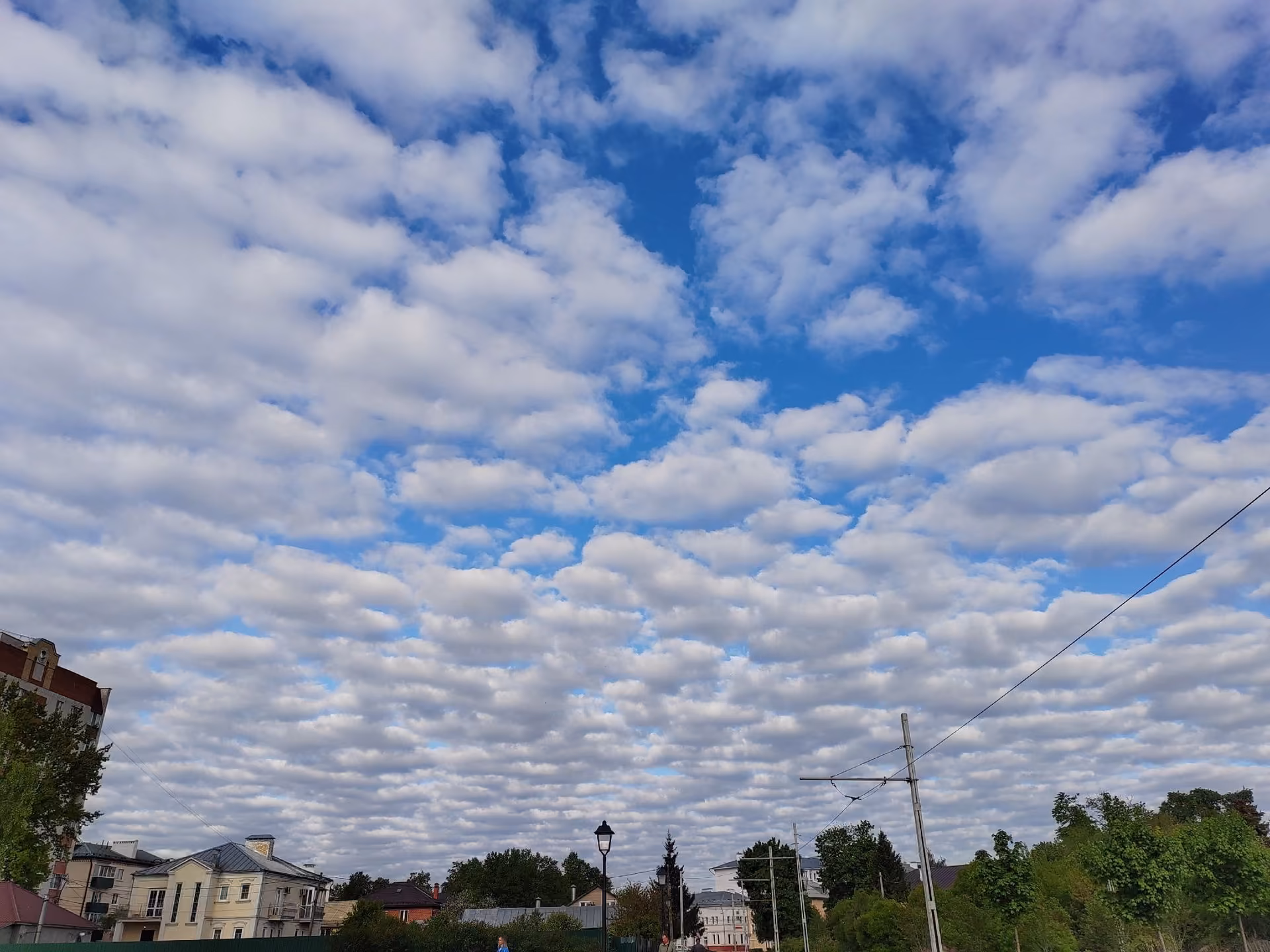 ec81f86442638e11409df5a1ef7f6b38.jpg