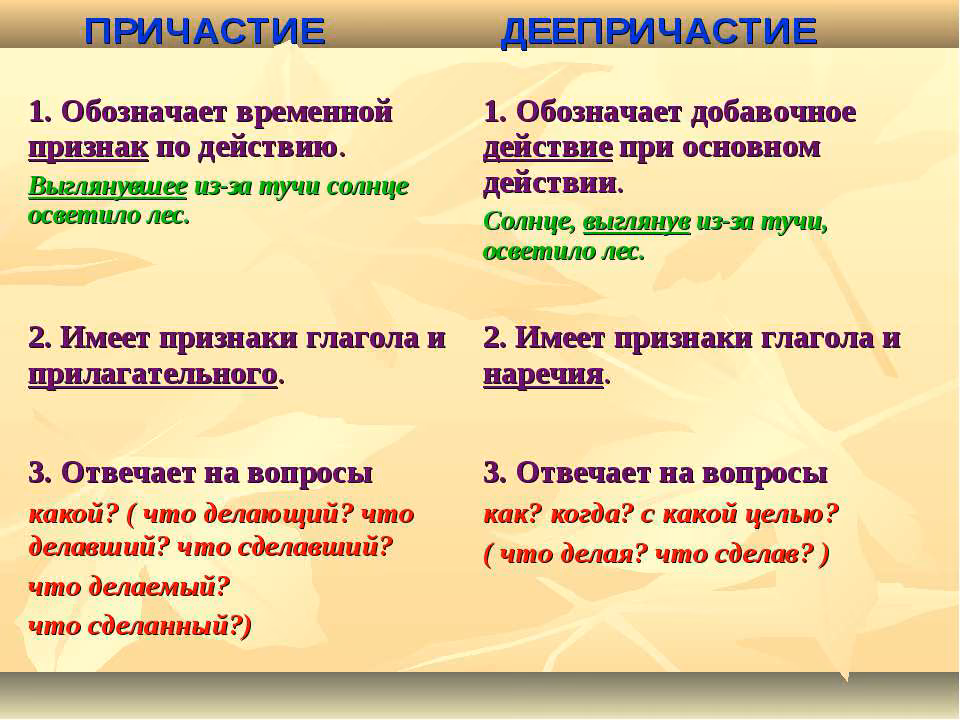 ec9a21557ef467a307c28c3f4a8f082f.jpg
