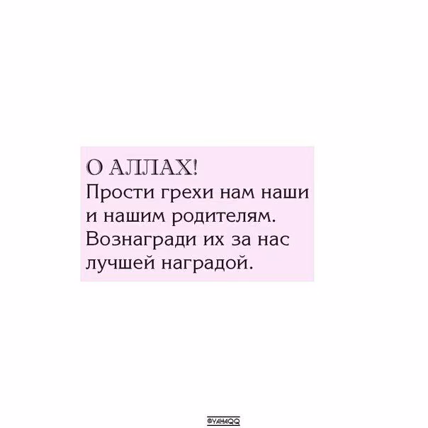 eca123b88a62add27d91f973d45969c3.avif