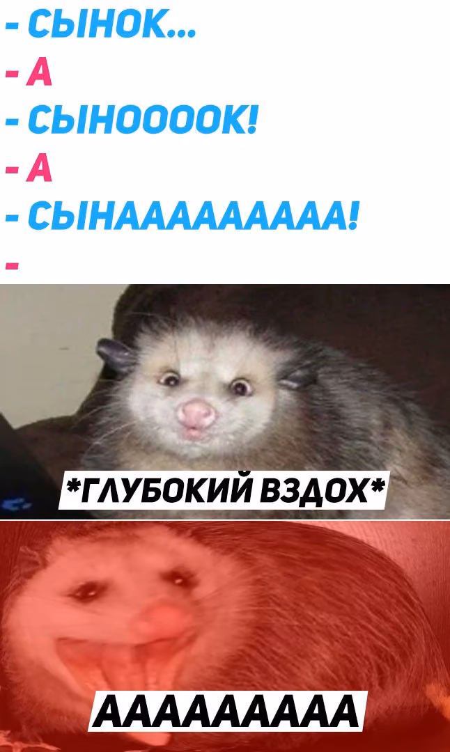 eca73a8fadecde0ce193d70c0c8f9c86.jpg