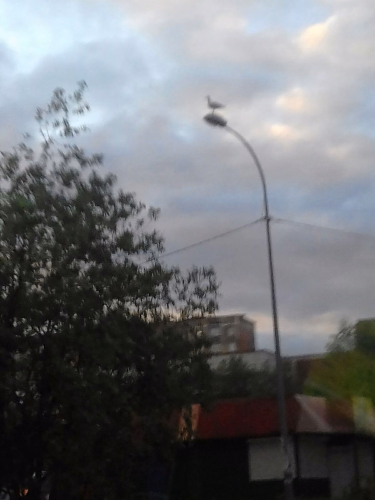 eca9678898df67cd2475249549f891cb.jpg