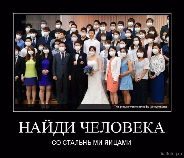 ecdbbce5c2b1a511e1e1cafc084726f3.jpg