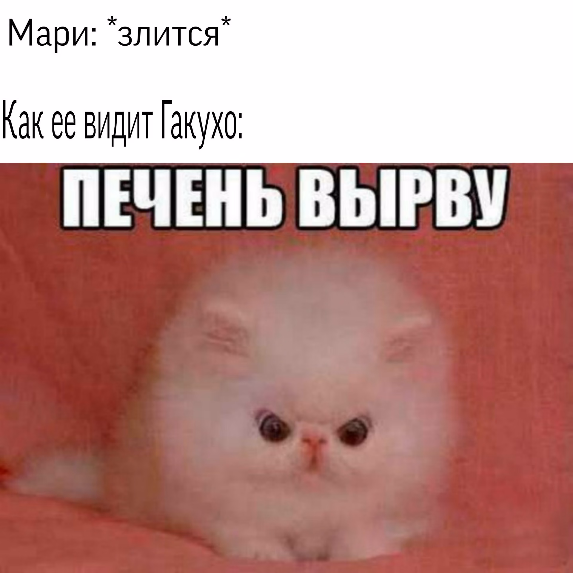 ece11f67bc512535120f79397ea320f0.avif