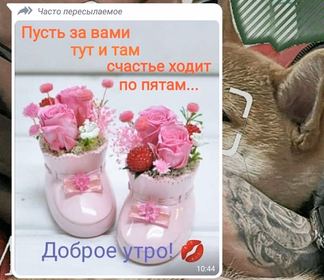 ed06a467cf6f90a6134b9557929b2379.jpg