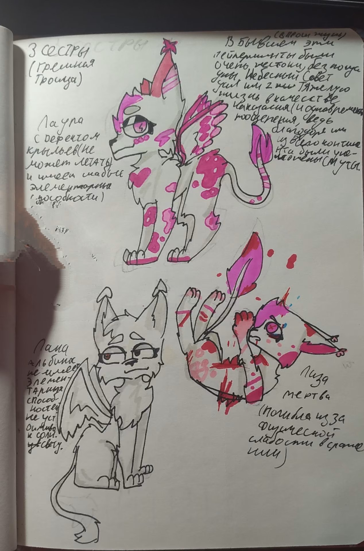 ed100bc17377fd4a136b268701fe37a1.jpg
