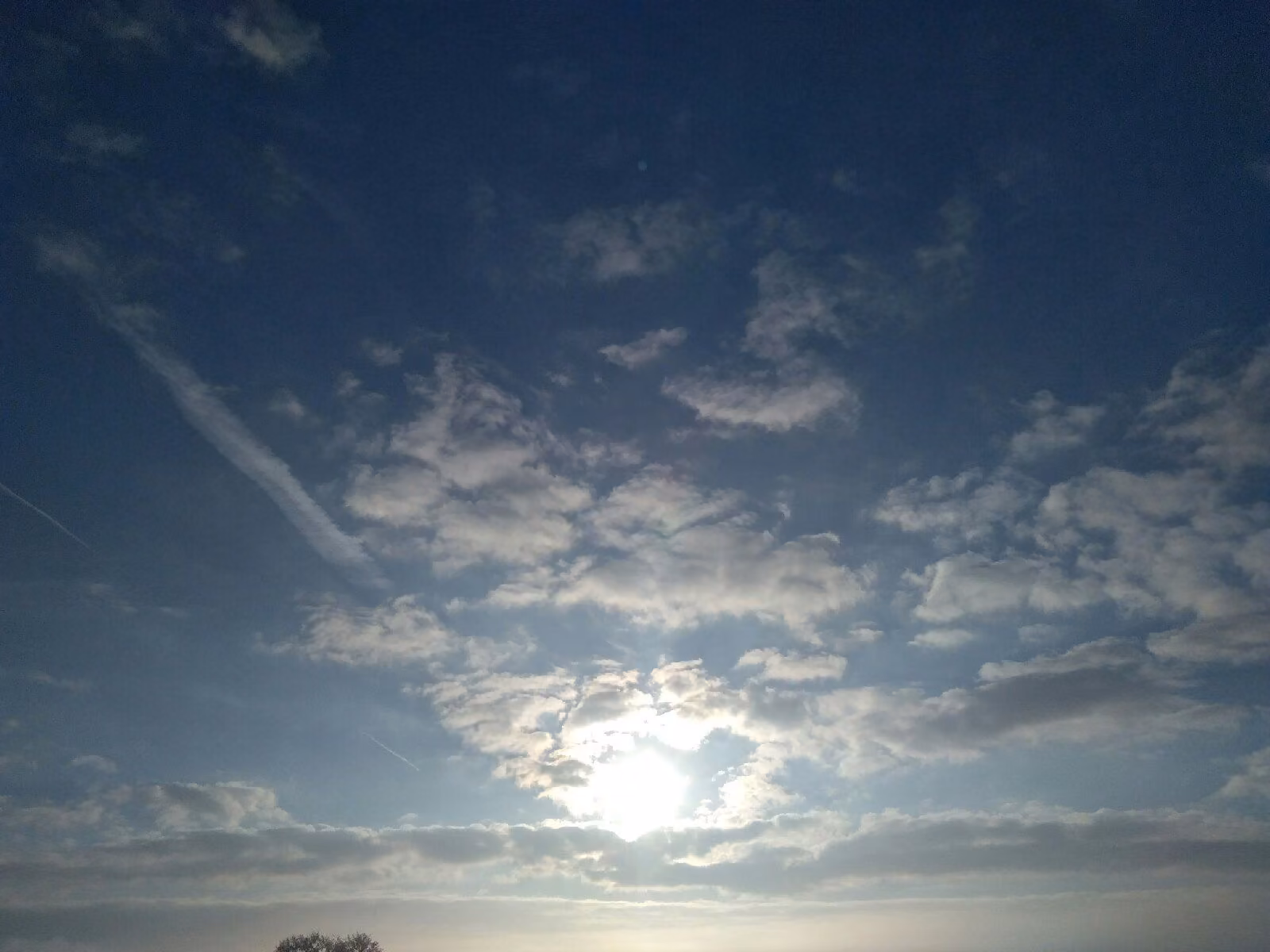 ed25af57e60825f0c59a529044d617df.jpg