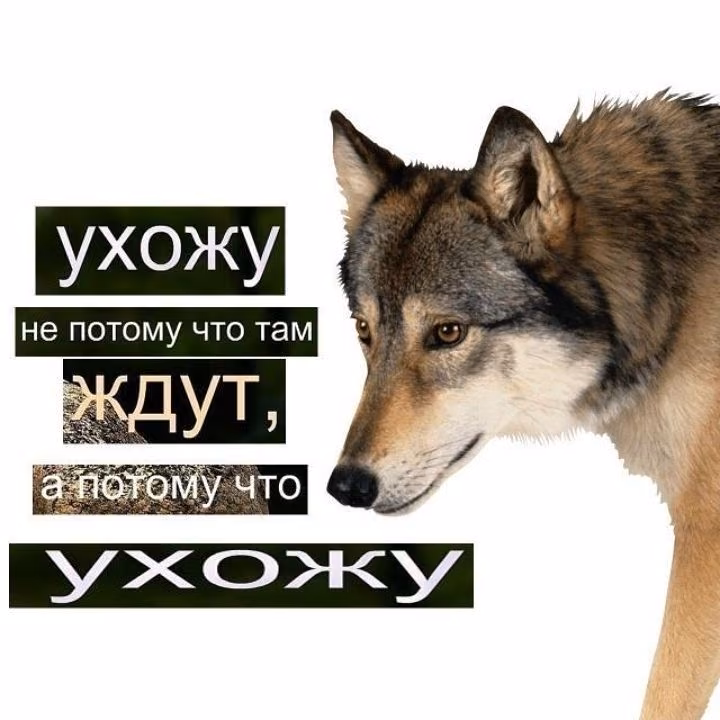 ed2c5f1e758a5f3c3e9930afc9b74a07.avif