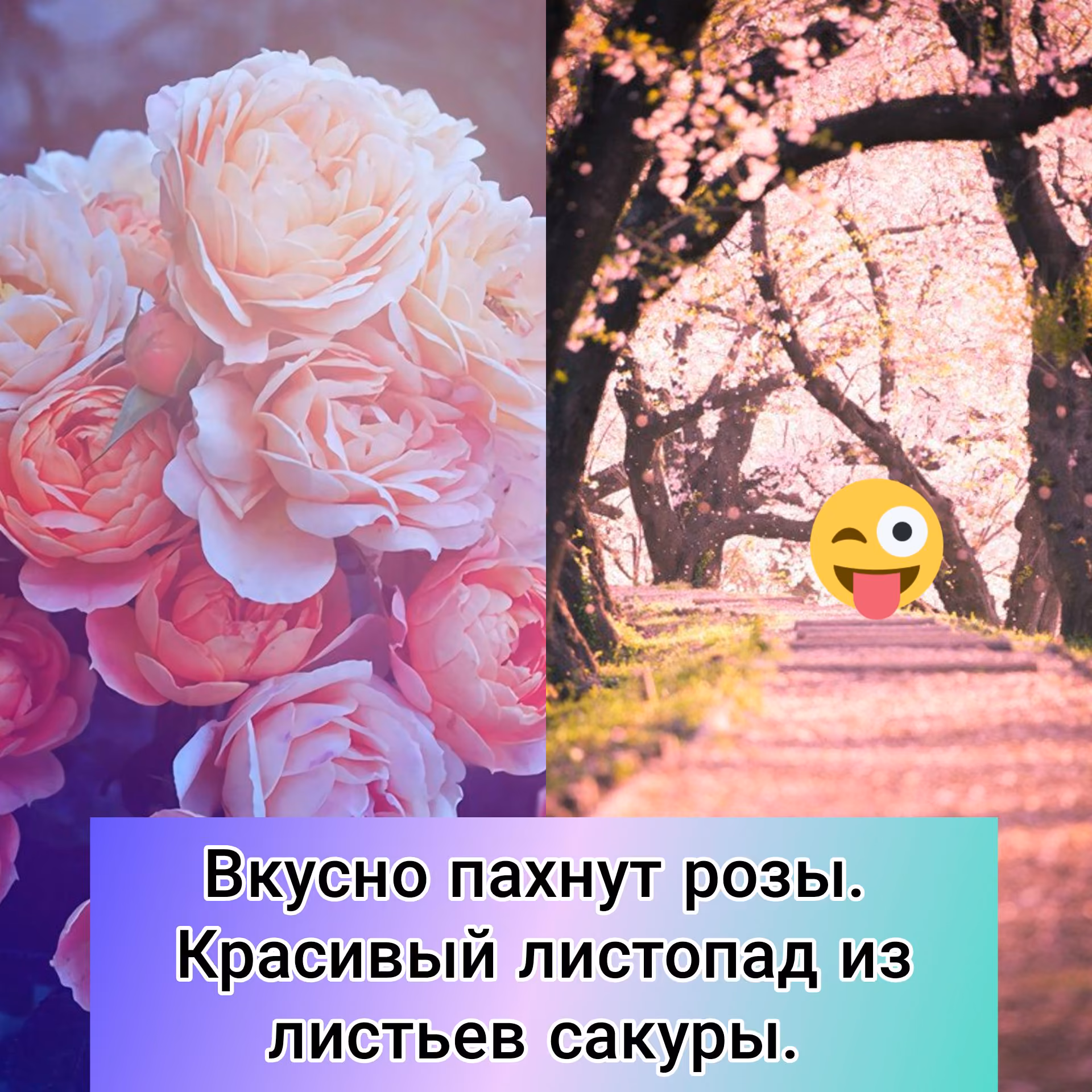 ed55ea5a2f2e02add9639f5ccea2b2fd.jpg