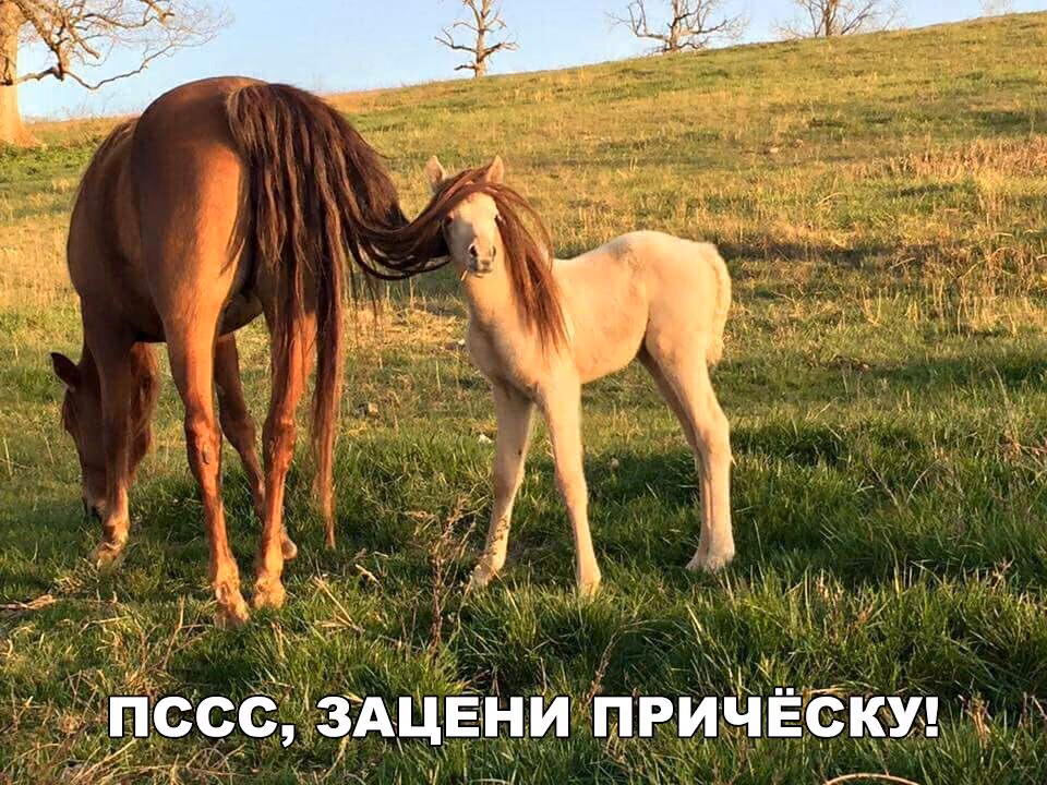 ed5b1443e4fee453c963b1ee670b0fe5.avif