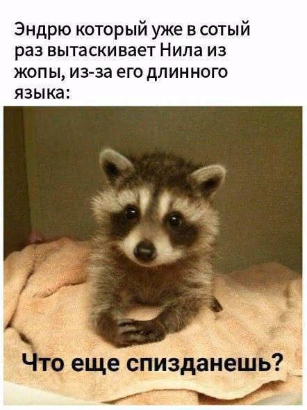 ed6230d1a419e531c72229bb3e0017a5.avif
