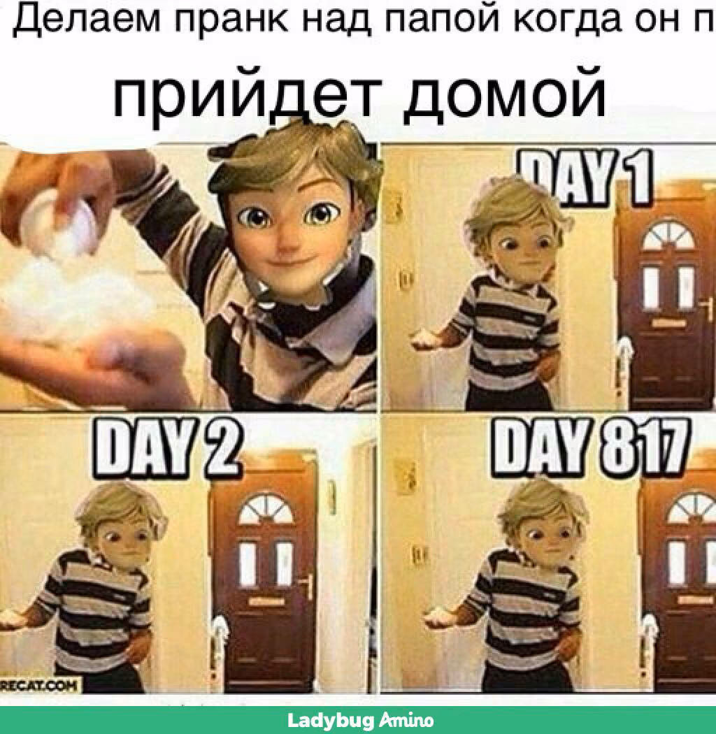 ed7bef73f1eed2e64818463e701b2e90.jpg