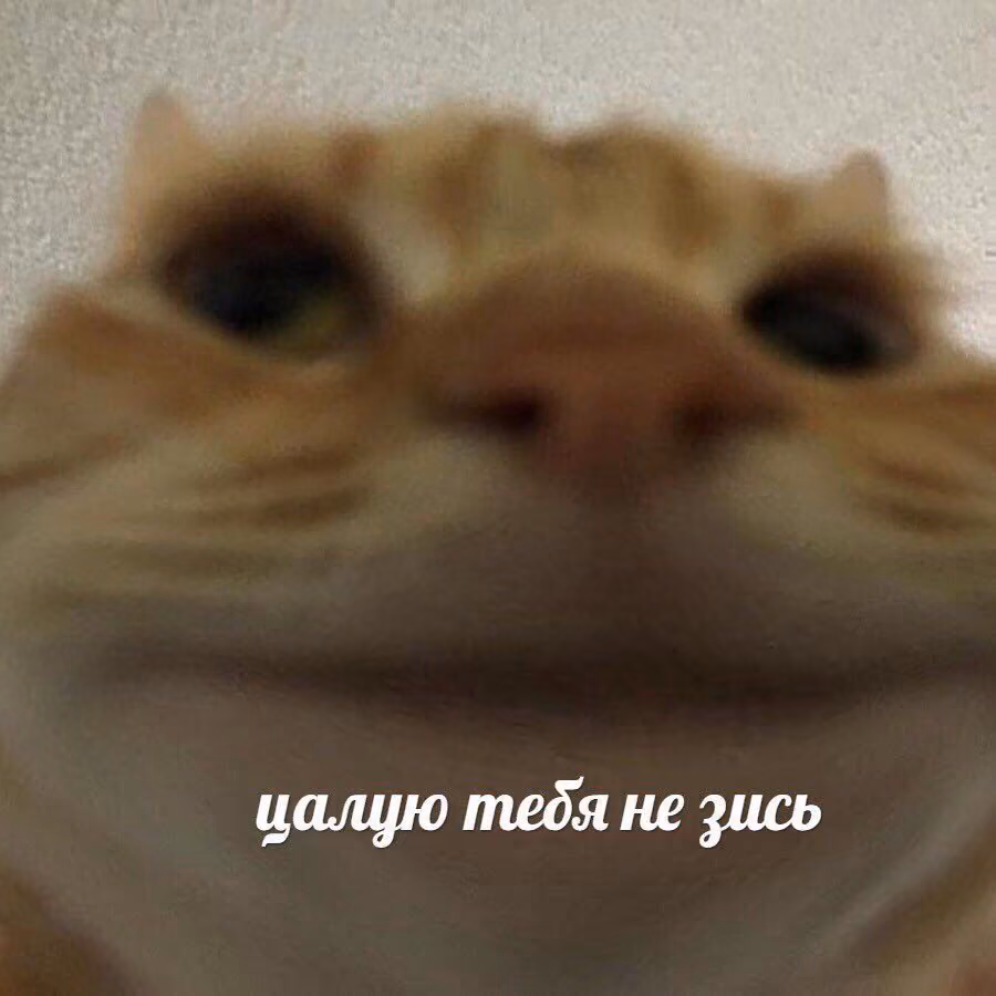 ed86699c3767fe7a60490e1733df06f1.jpg